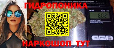 прущий лед Будённовск